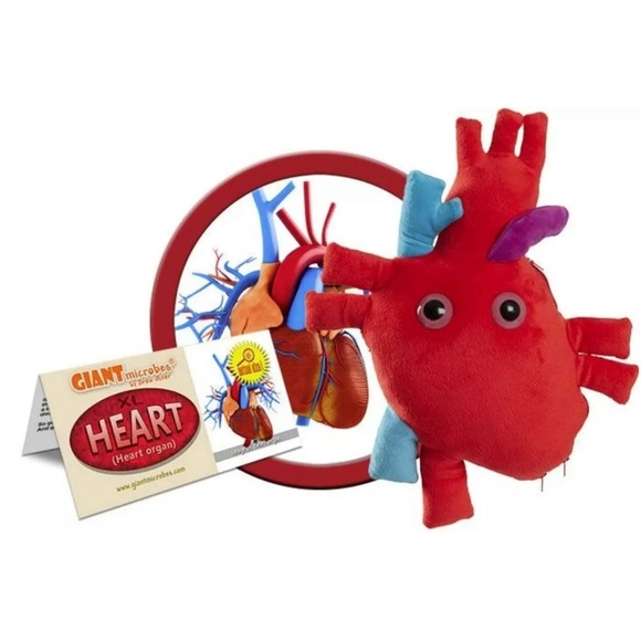 GIANTmicrobes Deluxe 15" Heart with Blood Cells Plush, Heart Stuffed Animal, - Picture 2 of 7